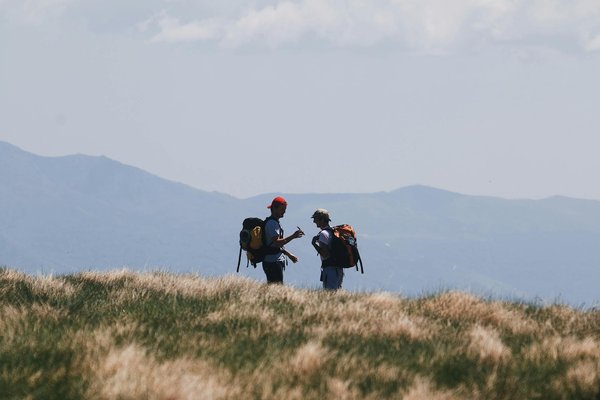 Quelles croisières offrent des excursions pour observer les orques en Norvège?