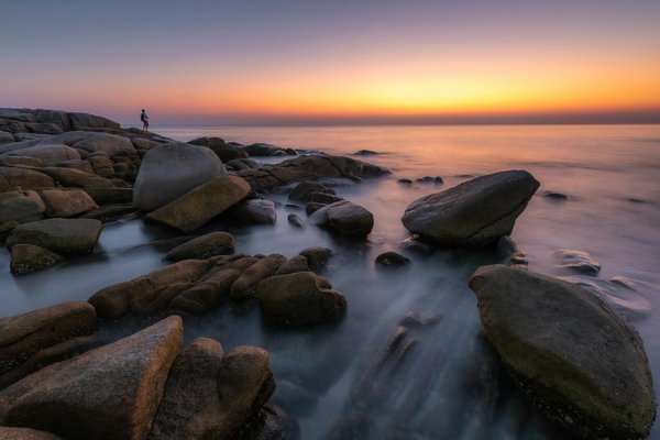 Comment organiser une croisière pour explorer les récifs de corail en mer Rouge?