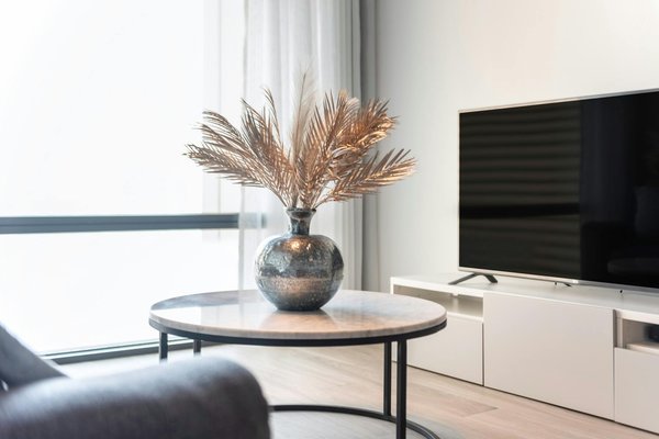 Quels sont les meilleurs spots pour observer les dauphins en Nouvelle-Zélande?