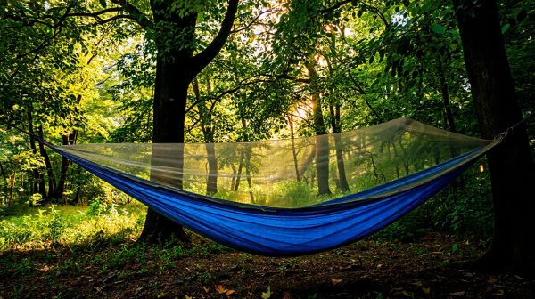 Guide pour bien dormir en plein air avec un hamac moustiquaire